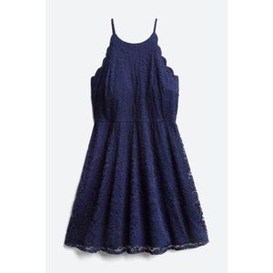 NWT Fortune & Ivy Scalloped Lace Fit & Flare Dress